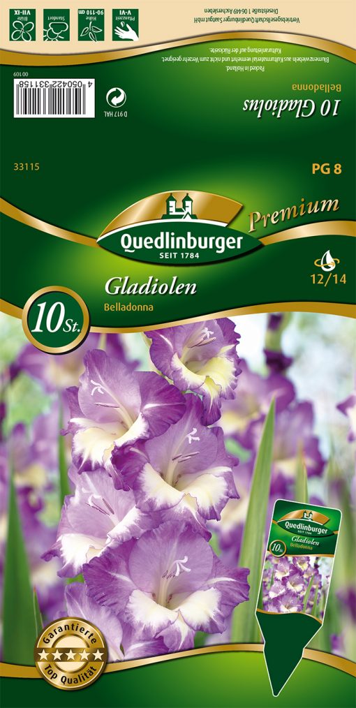 Gladiolen-Bella-Donna-Gaertnerland-Quedlinburg