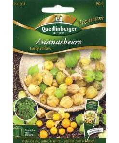Ananasbeere-Yellow-Early-Gaertnerland-Quedlinburg