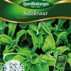 Salzkraut-Eisblume-Gaertnerland-Quedlinburg