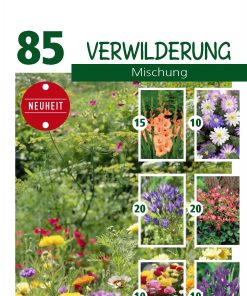 Blumenzwiebeln-Verwilderung-Gaertnerland-Quedlinburg