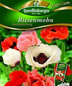 Riesenmohn-Prachtmischung-Gaertnerland-Quedlinburg