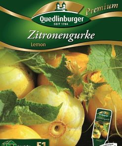 ZitronengurkeLemon-Gaertnerland-Quedlinburg