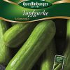 Topfgurke-Salamanda-Gaertnerland-Quedlinburg