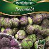 Rosenkohl-Red-Gaertnerland-Quedlinburg