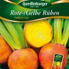 Rote-Gelbe-Rueben-Golden-Eye-Gaertnerland-Quedlinburg