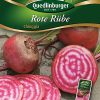 Rote-Ruebe-Chioggia-Gaertnerland-Quedlinburg