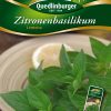 Zitronenbasilikum-Lemona-Gaertnerland-Quedlinburg