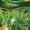 Salbei-Ceres-Gaertnerland-Quedlinburg