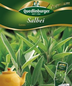 Salbei-Ceres-Gaertnerland-Quedlinburg