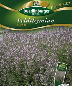FELDTHYMIAN-QUENDEL-Gaertnerland-Quedlinburg