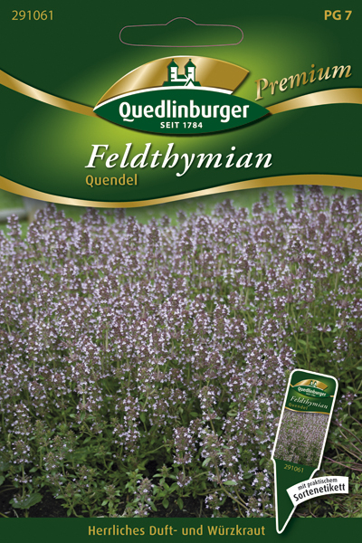 FELDTHYMIAN-QUENDEL-Gaertnerland-Quedlinburg