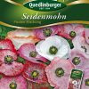SEIDENMOHN-PICOTEE-MISCHUNG-Gaertnerland-Quedlinburg