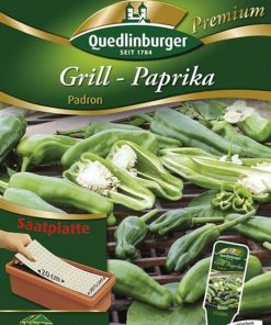 Grill-Paprik-Padron-Gaertnerland-Quedlinburg