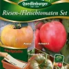 Riesen-Fleischtomaten-Set-Gaertnerland-Quedlinburg