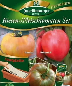 Riesen-Fleischtomaten-Set-Gaertnerland-Quedlinburg