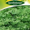 Kerbel-Commun-Gaertnerland-Quedlinburg