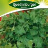 PETERSILIE -ESTIVAL-68-Gaertnerland-Quedlinburg