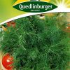 Dill-gewoehnlicher-Gaertnerland-Quedlinburg