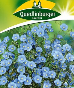 Lein-Blau-Staudenlein-Gaertnerland-Quedlinburg