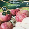 Pflanzkartoffeln-Cara-Gaertnerland-Quedlinburg
