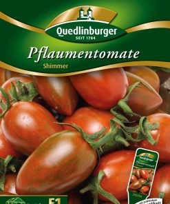 Pflaumentomate-Shimmer-Gaertnerland-Quedlinburg