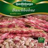 Buschbohne-Borlotto-rosso-Gaertnerland-Quedlinburg