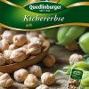 Buschbohne-Borlotto-rosso-Gaertnerland-Quedlinburg