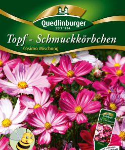 Topf-Schmuckkoerbchen-Cosimo-Mix-Gaertnerland-Quedlinburg