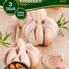 Knoblauch-Flavor-Gaertnerland-Quedlinburg