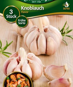 Knoblauch-Flavor-Gaertnerland-Quedlinburg