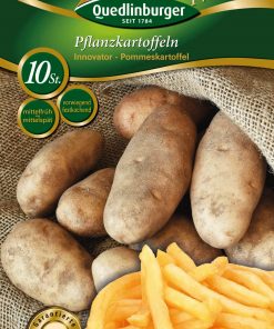 pflanzkartoffel-innovator-pommeskartoffel-gaertnerland-quedlinburg