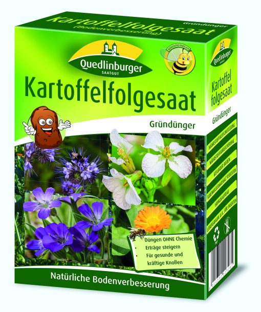 kartoffelgesaat-gruenduenger-gaertnerland-quedlinburg