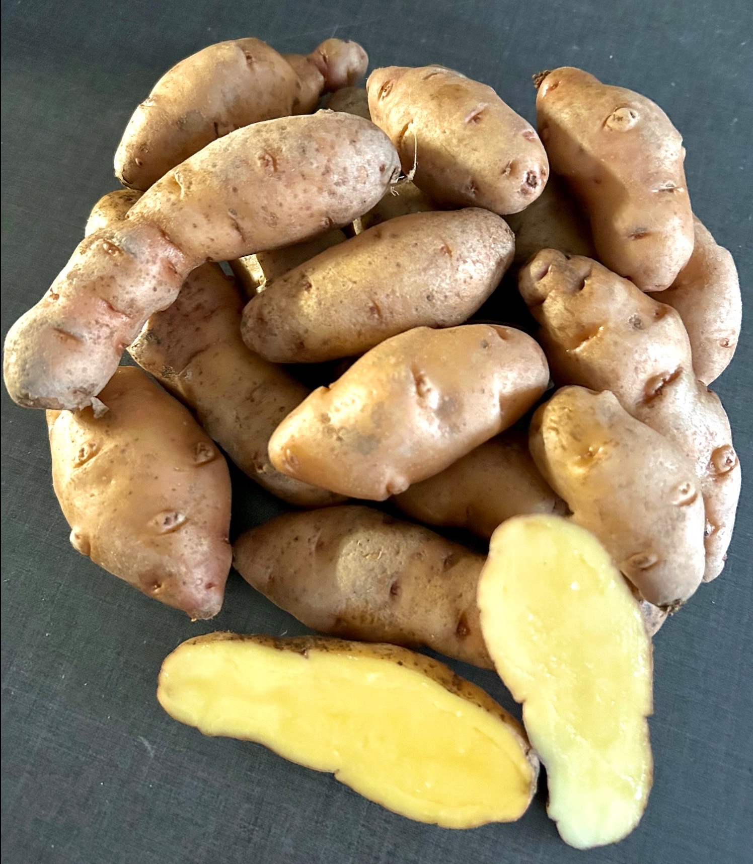 Gartenkartoffeln “Bamberger Hörnchen” festkochend, mittelfrüh ... Gartenkartoffeln “Bamberger Hörnchen” festkochend, mittelfrüh ...