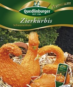 Zierkuerbissamen-Schwanenhals-Gaertnerland-Quedlinburg