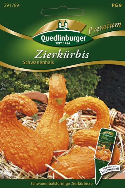 Zierkuerbissamen-Schwanenhals-Gaertnerland-Quedlinburg