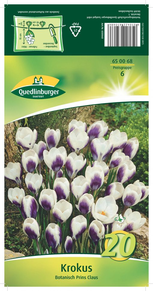 Blumenzwiebeln-Krokus-Gaertnerland-Quedlinburg