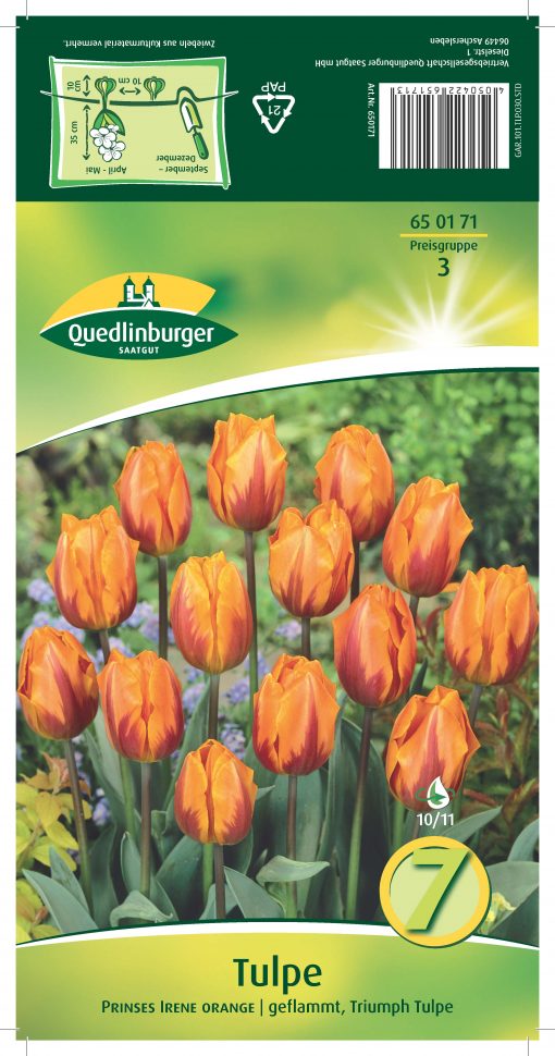 blumenzwiebeln-tulpen-gaertnerland-quedlinburg