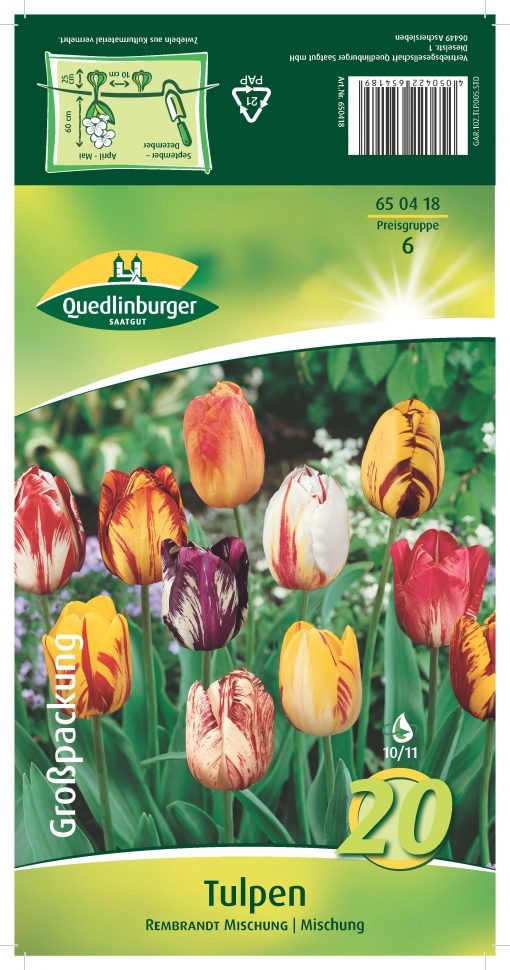 blumenzwiebeln-tulpen-gaertnerland-quedlinburg