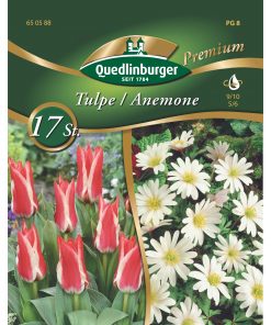 blumenzwiebeln-tulpen-gaertnerland-quedlinburg