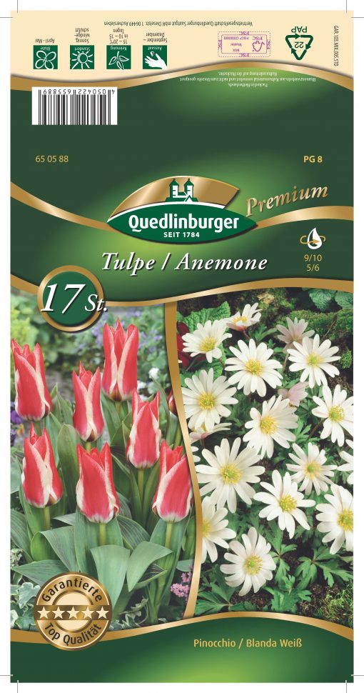 blumenzwiebeln-tulpen-gaertnerland-quedlinburg