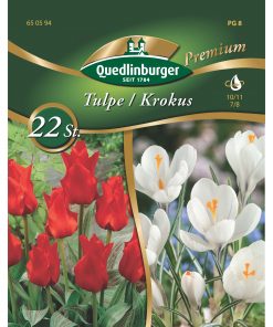 blumenzwiebeln-tulpen-gaertnerland-quedlinburg