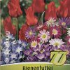 blumenzwiebeln-gaertnerland-quedlinburg