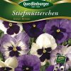 blumensamen-stiefmuetterchen-gaertnerland-quedlinburg