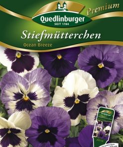 blumensamen-stiefmuetterchen-gaertnerland-quedlinburg