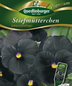 blumensamen-stiefmuetterchen-gaertnerland-quedlinburg