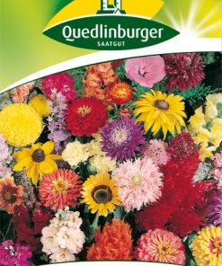 balkonschmuck-rankend-gaertnerland-quedlinburg