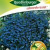 maennertreu-kristallpalast-gaertnerland-quedlinburg