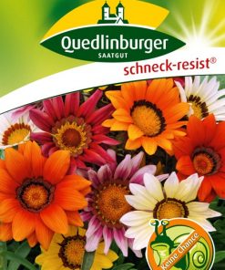 mittagsgold-grossblumige-mischungen-gaertnerland-quedlinburg