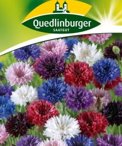 kornblumen-gaertnerland-quedlinburg