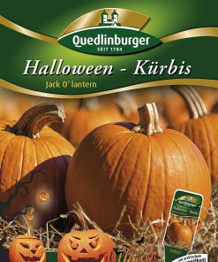halloween-kuerbis-gaertnerland-quedlinburg